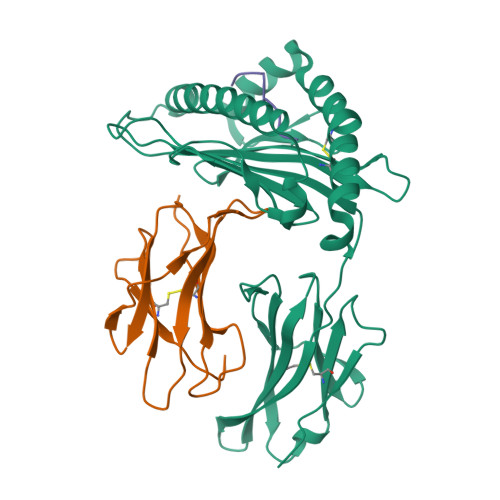 Rcsb Pdb 6l9m H2 Ld Complexed With Ah1 Peptide