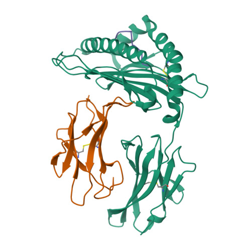 Rcsb Pdb 6l9m H2 Ld Complexed With Ah1 Peptide