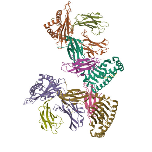 Rcsb Pdb 6l9m H2 Ld Complexed With Ah1 Peptide