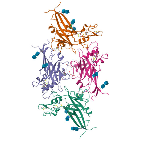 Rcsb Pdb 1lcs Receptor Binding Domain From Subgroup B Feline Leukemia Virus