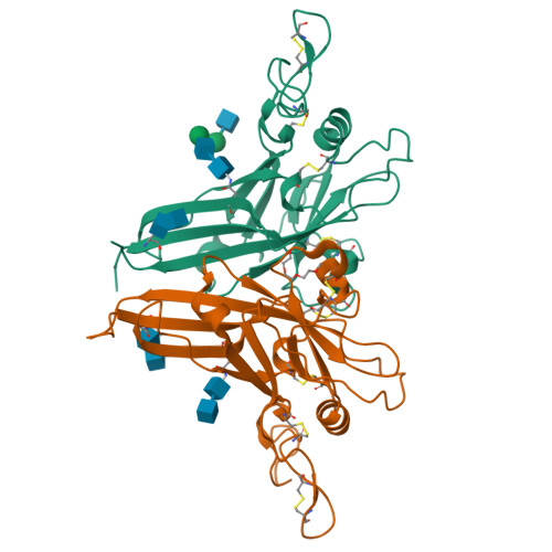 Rcsb Pdb 1lcs Receptor Binding Domain From Subgroup B Feline Leukemia Virus