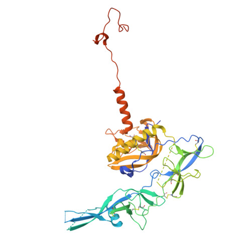 RCSB PDB - 6LGX: Structure of Rabies virus glycoprotein at basic pH