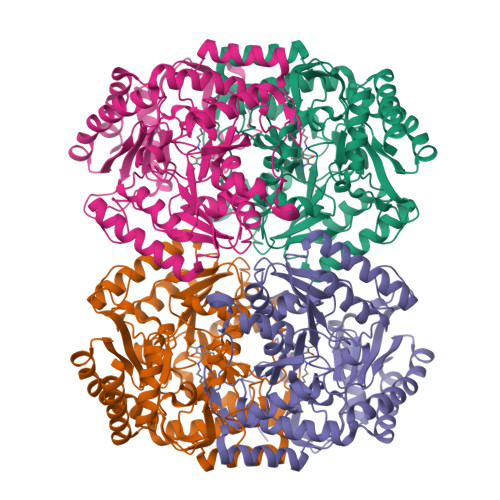 Rcsb Pdb 5lh9 Amine Transaminase Crystal Structure From An Uncultivated Pseudomonas Species In The Plp Bound Internal Aldimine Form