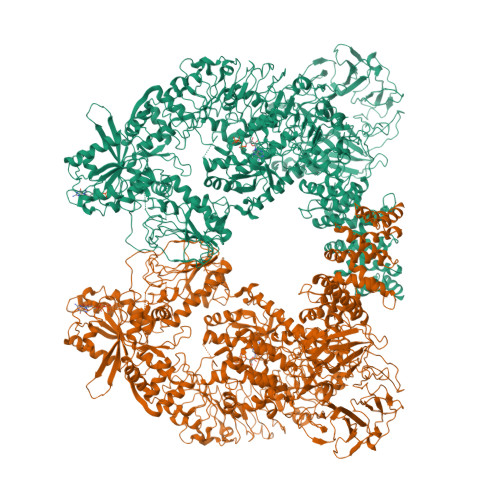 Rcsb Pdb 7lht Structure Of The Lrrk2 Dimer