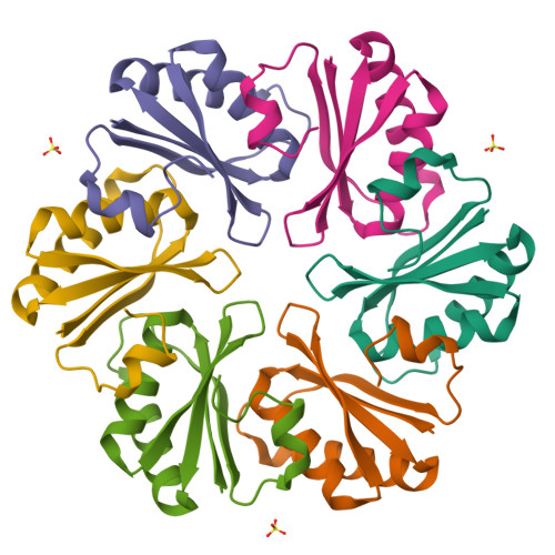 Rcsb Pdb 4liw Ccmk1 Carboxysome Shell Protein From Synechocystis Pcc6803 L11k Point Mutant