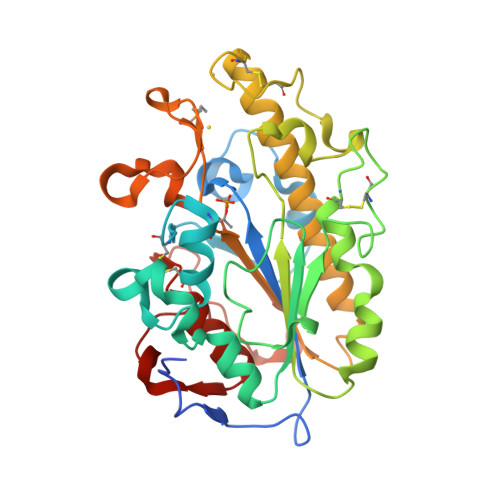 RCSB PDB - 6LI6: Crystal structure of 