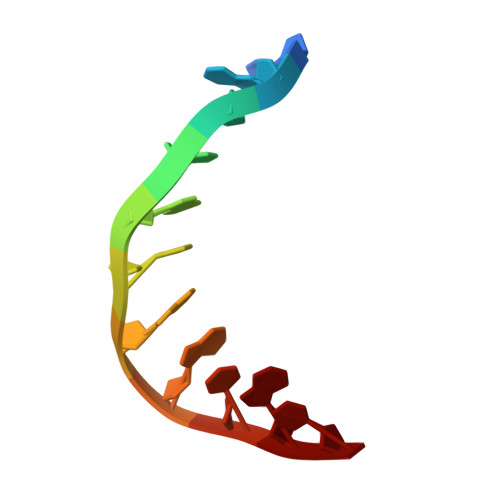 Rcsb Pdb 2ll9 Solution Structure Of A Dna Containing A Thymime Thymine Mismatch