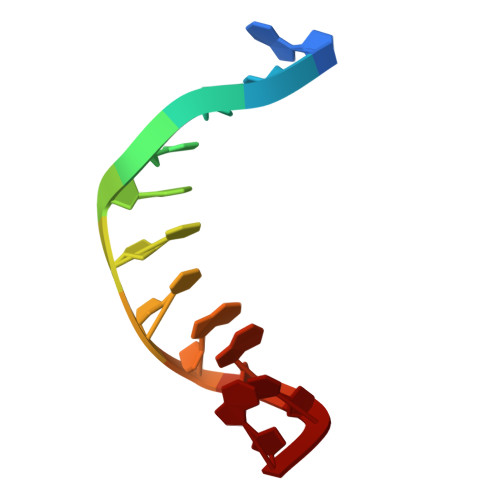 Rcsb Pdb 2ll9 Solution Structure Of A Dna Containing A Thymime Thymine Mismatch