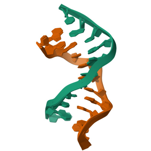 Rcsb Pdb 2ll9 Solution Structure Of A Dna Containing A Thymime Thymine Mismatch