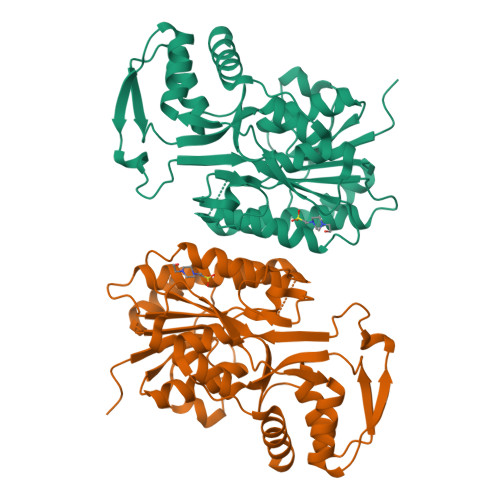 image of structure for 4LW8