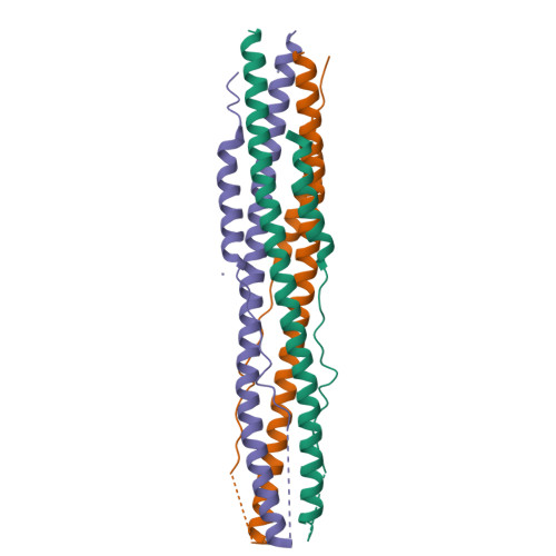 Rcsb Pdb 6lxt Structure Of Post Fusion Core Of 2019 Ncov S2 Subunit