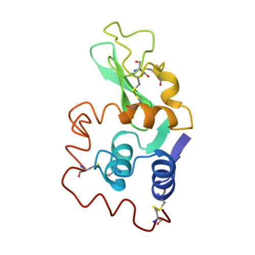 Lysozyme protein structure