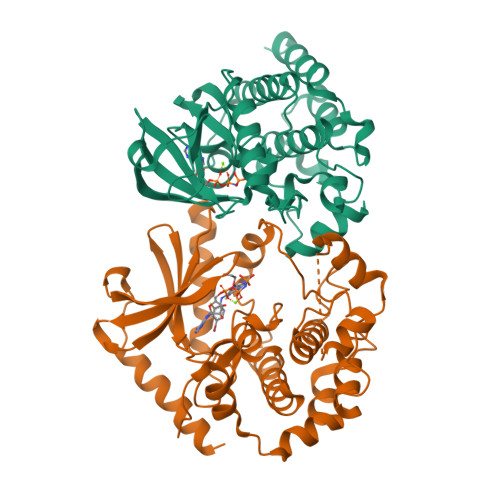 Rcsb Pdb 7m0u Crystal Structure Of The Braf Mek1 Kinases In Complex With Amppnp And Binimetinib