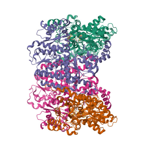 Rcsb Pdb 1m1n Nitrogenase Mofe Protein From Azotobacter Vinelandii