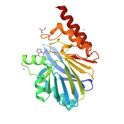 Rcsb Pdb 1m2x Crystal Structure Of The Metallo Beta Lactamase Blab Of Chryseobacterium Meningosepticum In Complex With The Inhibitor D Captopril