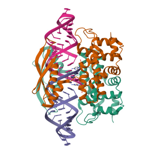 Rcsb Pdb 4m2z Crystal Structure Of Rnase Iii Complexed With Double Stranded Rna And Cmp Type Ii Cleavage