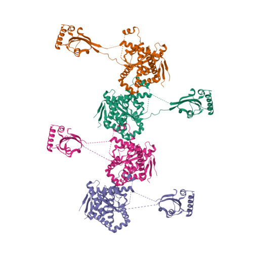 Rcsb Pdb 1m5y Crystallographic Structure Of Sura A Molecular Chaperone That Facilitates Outer Membrane Porin Folding