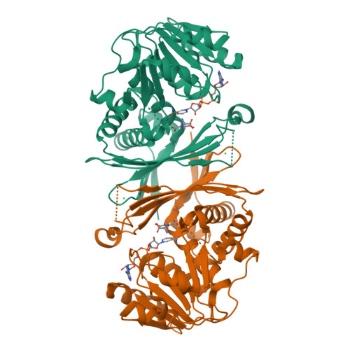 Protein Data Bank: 4M54