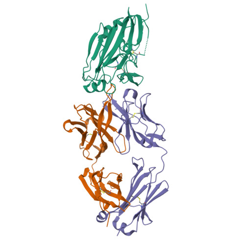 Rcsb Pdb 4m5z Crystal Structure Of Broadly Neutralizing Antibody 5j8 Bound To 2009 Pandemic Influenza Hemagglutinin Ha1 Subunit