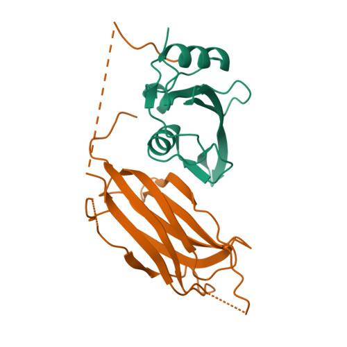 Rcsb Pdb 3m7f Crystal Structure Of The Nedd4 C2 Grb10 Sh2 Complex