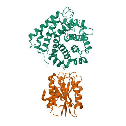 4m76 Integrin I Domain Of Complement Receptor 3 In Complex With C3d Rcsb Pdb