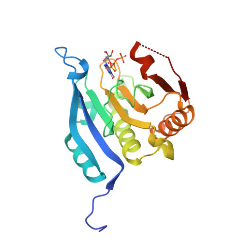 Rcsb Pdb 5m7v Translation Initiation Factor 4e In Complex With Rp M2 7 2 O Gppspg Mrna 5 Cap Analog Beta S Arca D1