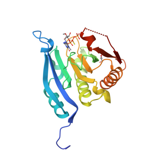 Rcsb Pdb 5m7v Translation Initiation Factor 4e In Complex With Rp M2 7 2 O Gppspg Mrna 5 Cap Analog Beta S Arca D1