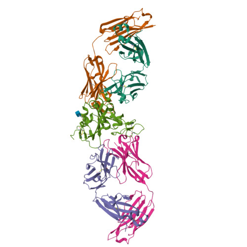 Rcsb Pdb 7m7w Antibodies To The Sars Cov 2 Receptor Binding Domain That Maximize Breadth And Resistance To Viral Escape