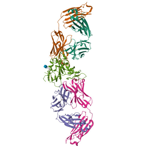 Rcsb Pdb 7m7w Antibodies To The Sars Cov 2 Receptor Binding Domain That Maximize Breadth And Resistance To Viral Escape