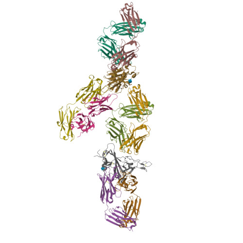 Rcsb Pdb 7m7w Antibodies To The Sars Cov 2 Receptor Binding Domain That Maximize Breadth And Resistance To Viral Escape