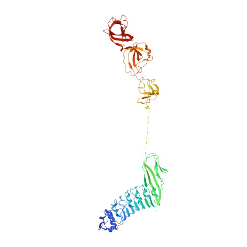 Amazing internalin Rcsb Pdb 1m9s Crystal Structure Of Internalin B Inlb A Listeria Monocytogenes Virulence Protein Containing Sh3 Like Domains