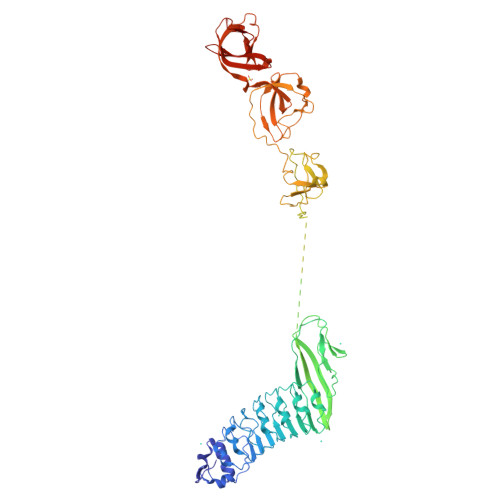 Amazing internalin Rcsb Pdb 1m9s Crystal Structure Of Internalin B Inlb A Listeria Monocytogenes Virulence Protein Containing Sh3 Like Domains