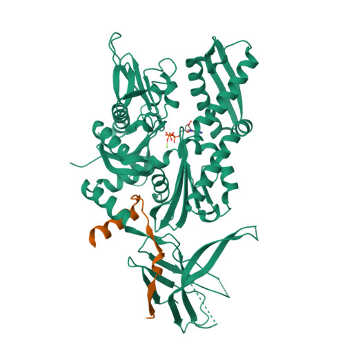 Rcsb Pdb 5mb9 Crystal Structure Of The Eukaryotic Ribosome Associated Complex Rac A Unique Hsp70 Hsp40 Pair