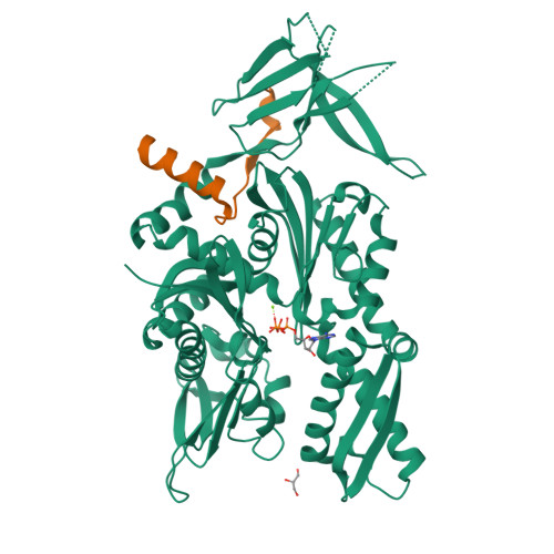 Rcsb Pdb 5mb9 Crystal Structure Of The Eukaryotic Ribosome Associated Complex Rac A Unique Hsp70 Hsp40 Pair