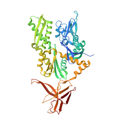 Rcsb Pdb 5mb9 Crystal Structure Of The Eukaryotic Ribosome Associated Complex Rac A Unique Hsp70 Hsp40 Pair