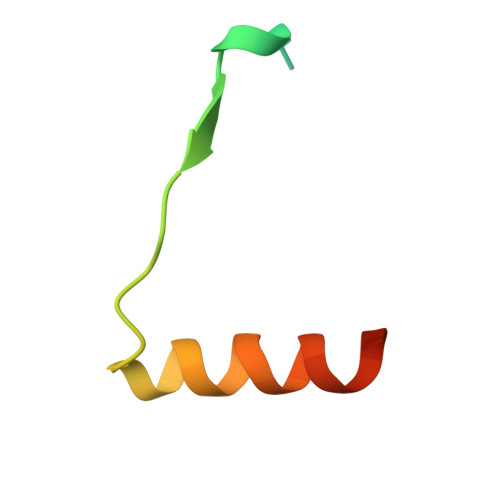 Rcsb Pdb 5mb9 Crystal Structure Of The Eukaryotic Ribosome Associated Complex Rac A Unique Hsp70 Hsp40 Pair