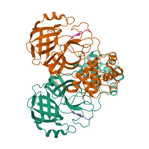 RCSB PDB: Homepage