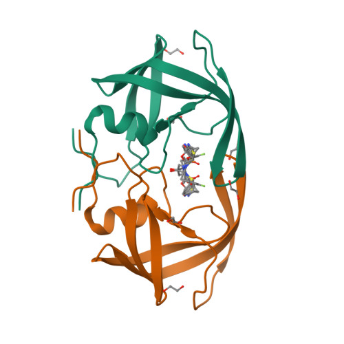 Rcsb Pdb 6mcr X Ray Crystal Structure Of Wild Type Hiv 1 Protease In Complex With Grl 001