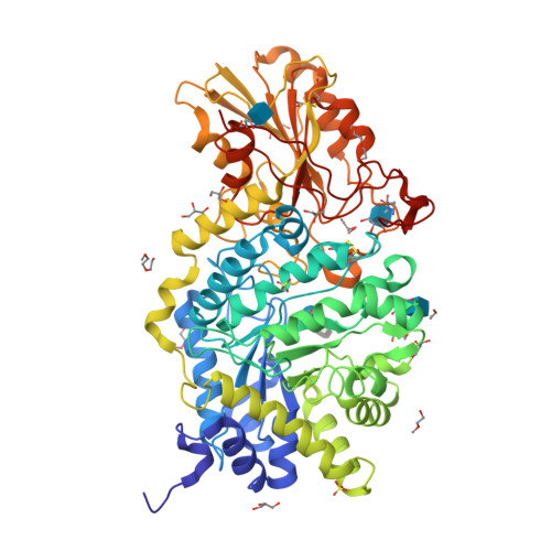 Rcsb Pdb 6md6 Crystal Structure Analysis Of Plant Exohydrolase In Complex With Methyl 2 Thio Beta Sophoroside