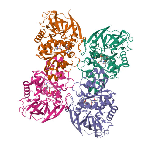 image of structure for 9MDE