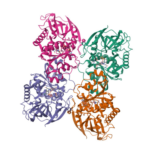 image of structure for 9MDF