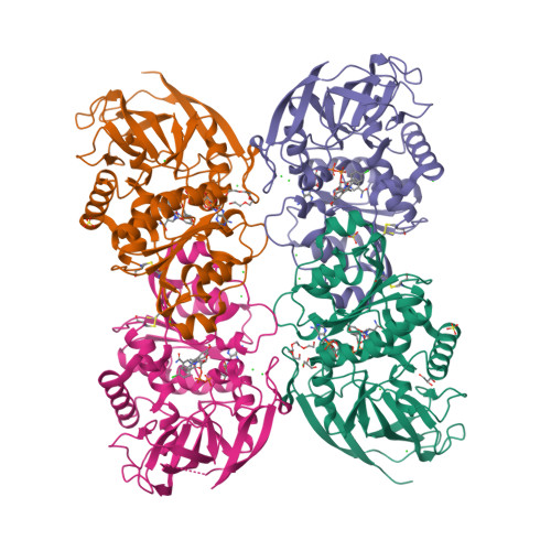 image of structure for 9MDH