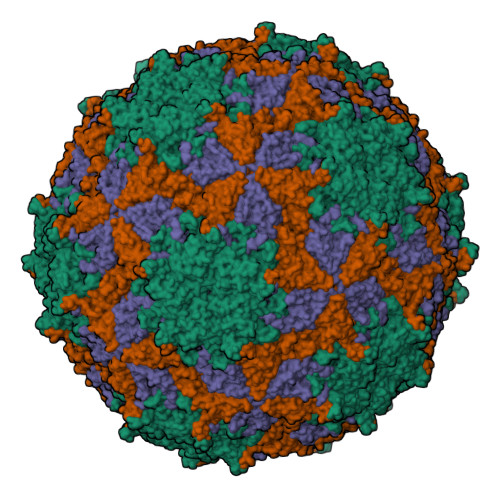 Rcsb Pdb 2mev Structural Refinement And Analysis Of Mengo Virus