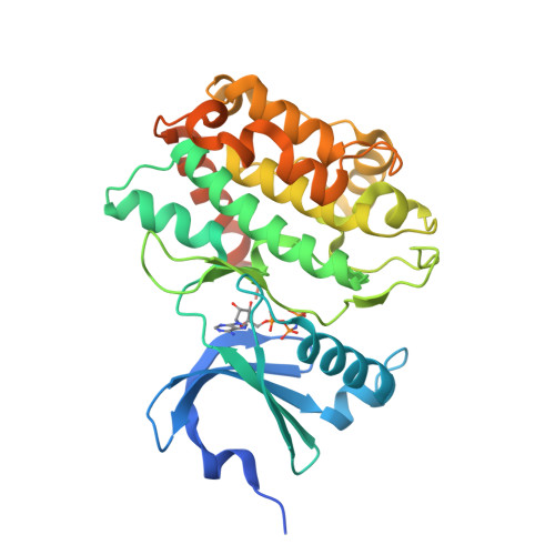 Rcsb Pdb 3mfs Cask 4m Cam Kinase Domain Amppnp