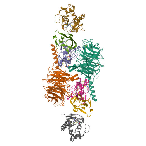 Rcsb Pdb 1mg2 Mutation Of Alpha Phe55 Of Methylamine Dehydrogenase Alters The Reorganization Energy And Electronic Coupling For Its Electron Transfer Reaction With Amicyanin