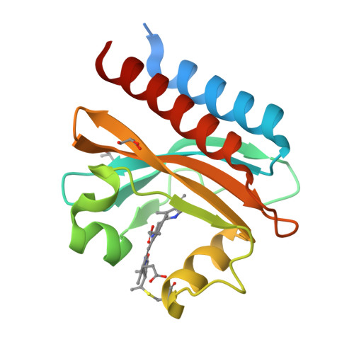 Rcsb Pdb 6mgh X Ray Structure Of Monomeric Near Infrared Fluorescent Protein Mirfp670nano