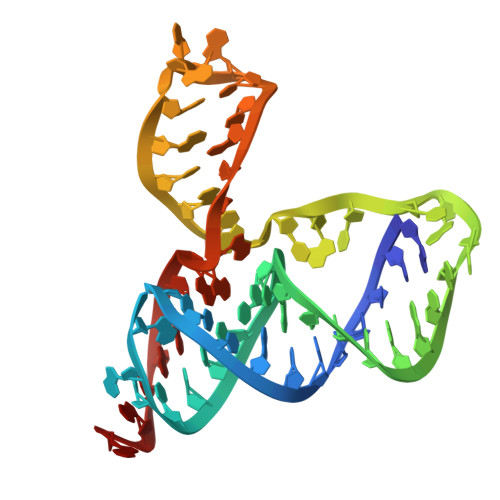 Rcsb Pdb 2miy Solution Nmr Structure Of A Preq1 Class Ii Riboswitch From Streptococcus Pneumoniae