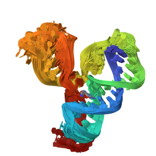 Rcsb Pdb 2miy Solution Nmr Structure Of A Preq1 Class Ii Riboswitch From Streptococcus Pneumoniae