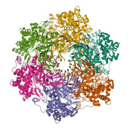 Rcsb Pdb 6mii Crystal Structure Of Minichromosome Maintenance Protein Mcm Dna Complex