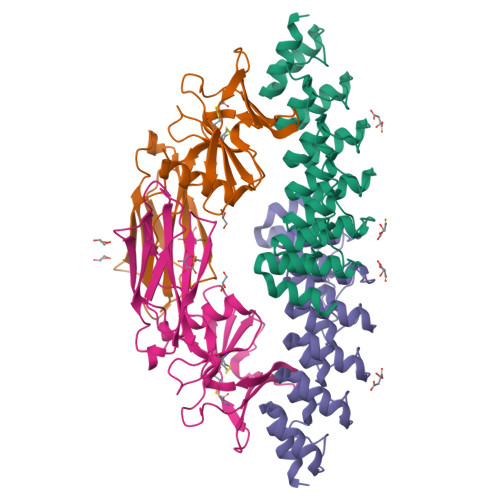 Rcsb Pdb 6moj Dimeric Darpin A Angle R5 Complex With Epor